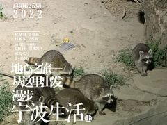 -宁波野生动物园