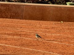 -上海商业会计学校(迎勋路)