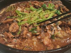 -老板恋上鱼(高新万达店)