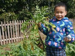 -前小桔亲子创意农场·草莓采摘·露营烧烤