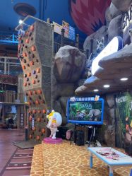 -卡通尼·Safari非洲探索乐园·生日会(金桥国际商业广场店)