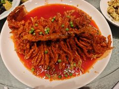 -真定郝家排骨(正定县总店)