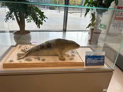 -呼和浩特市老牛儿童探索馆