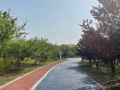-张家湾公园