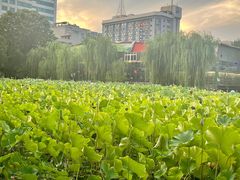 -莲湖公园