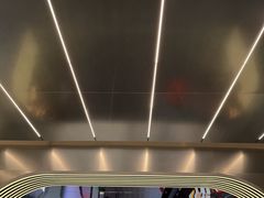 -乐天免税店(明洞店)