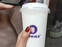 -一只酸奶牛(奎星楼店)