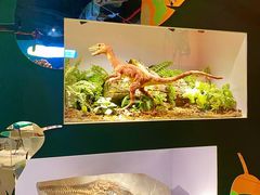 -正佳自然科学博物馆