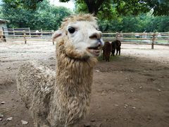 -西安秦岭野生动物园