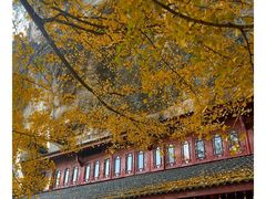 -大慈岩风景区