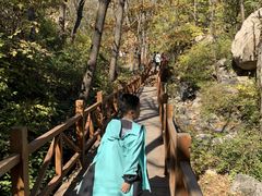 -大岭沟猕猴桃谷风景区