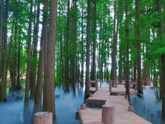 -东湖落雁景区