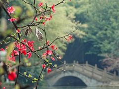 -棠湖公园