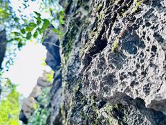 -梭布垭石林景区