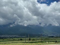 -瑞丰园庭院餐厅·白族传统家常菜