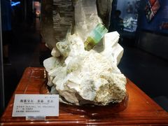 -湖南省地质博物馆