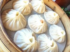 -冷大厨灌汤包