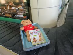-丽江三义国际机场