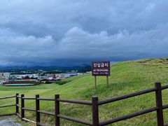 -涉地可支