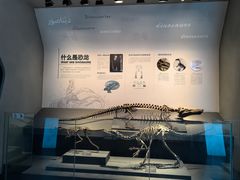 -自贡恐龙博物馆