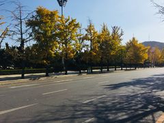 -大连人民广场