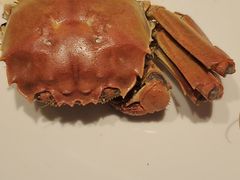 -TABLE·味西餐厅-成都茂业JW万豪酒店