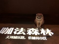 -咖法森林·咖啡  酒吧(天河店)