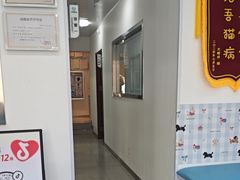 -守诺宠物医院·眼科· 神经外科·爬宠专科(虹口店)