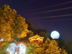 -巴倒烫陆派重庆火锅(南山店)