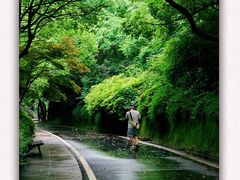 -长谷洞天