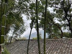 -杨家堂村