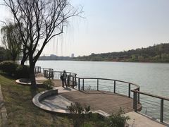 -羊山湖公园
