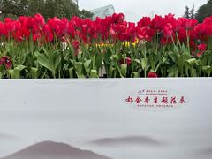 -南山植物园