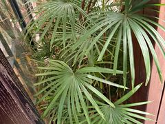 -金稼园·金平湖农家菜
