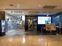 -Mr.Fish鱼鲜生海鲜放题(高德置地冬广场店)