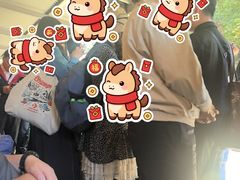 -普芬比利蒸汽火车