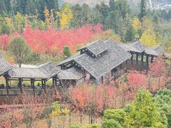 -恩施大峡谷