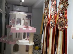 -青奢宠物·青奢猫舍