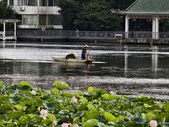 -荔湾湖公园