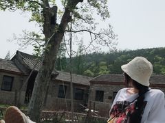 -无染寺
