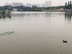-保定东湖公园(莲池区)