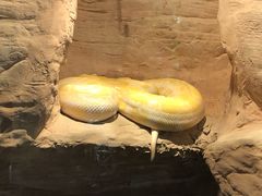 -青岛森林野生动物世界