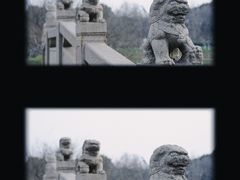 -圩墩遗址公园