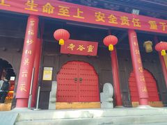 -灵谷景区