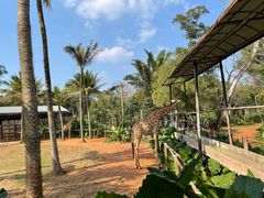 -海南热带野生动植物园