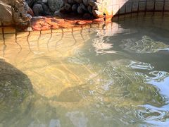 -三江森林温泉度假区