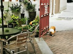 -茶米人台湾料理·精致快简餐