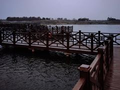 -上海海湾国家森林公园