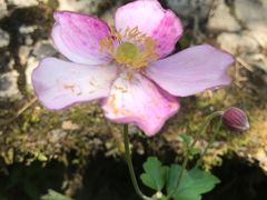 -山王坪喀斯特国家生态公园