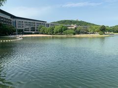 -上海佘山世茂艾美酒店